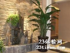 伊人高端减压SPA