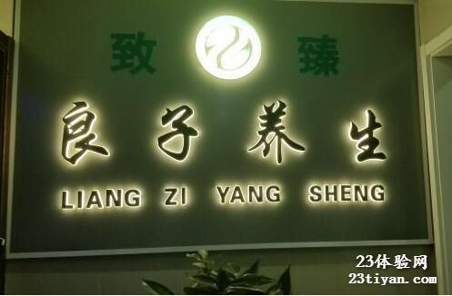 致臻良子养生会所