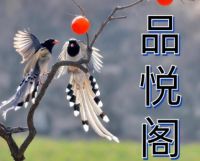 品悦订制按摩馆